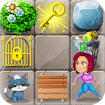 Push Puzzle Rescue Adventure